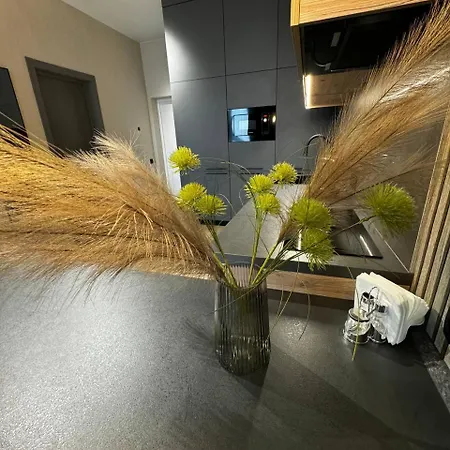 в новобудові авалон зелена إلفيف