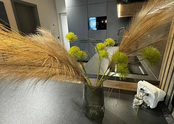 в новобудові авалон зелена Lviv