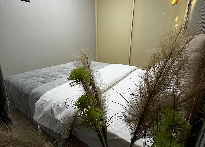 в новобудові авалон зелена Lviv